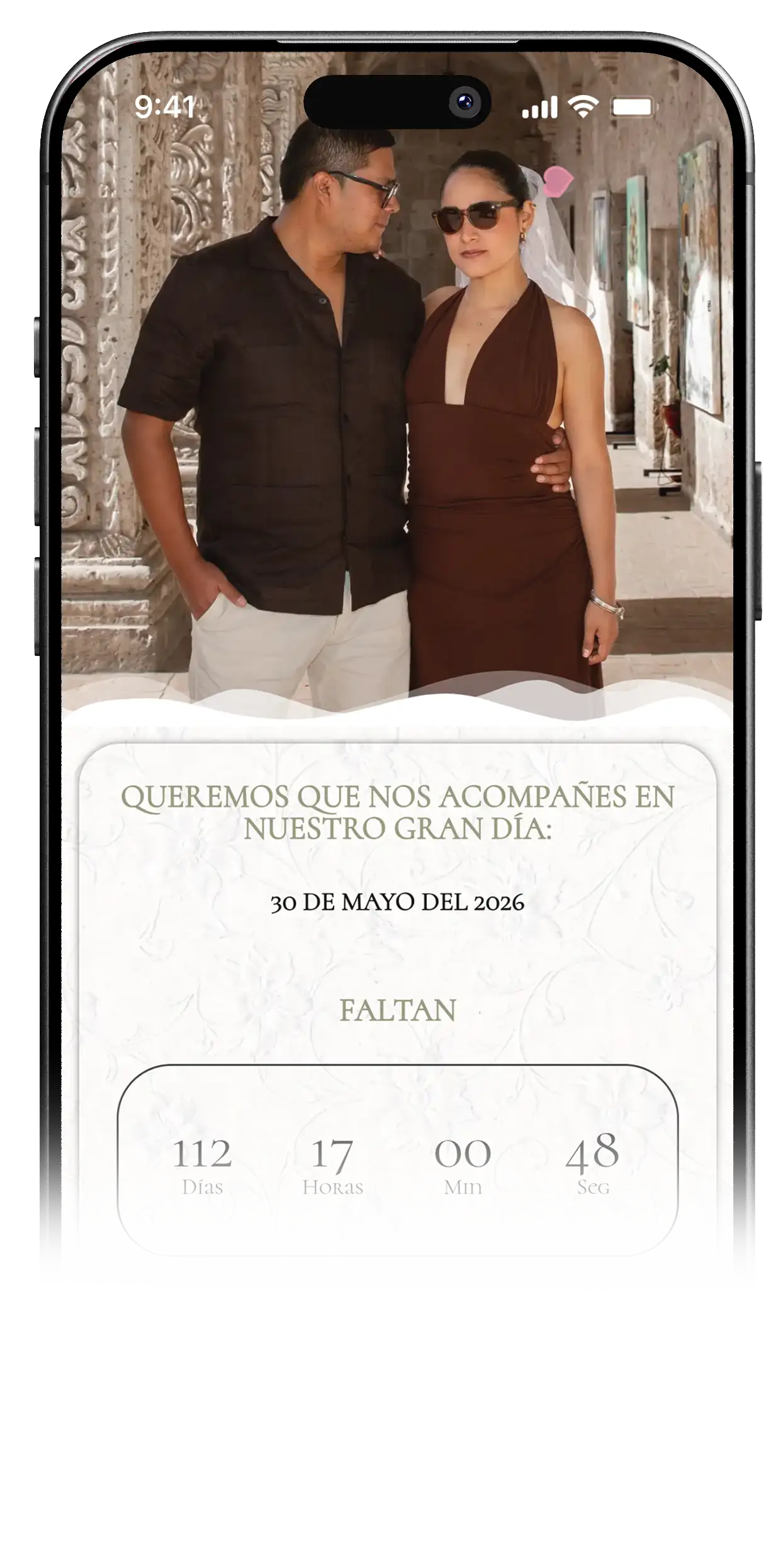 PLAN PLATINUM GRUNVEC